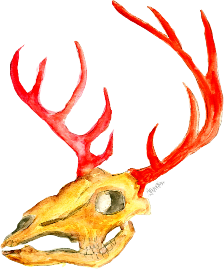 wp-17734243407989083952183293704869